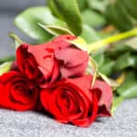 Three red roses with vibrant green stems on gray surface; classic mausoleum flower arrangement inspiration.