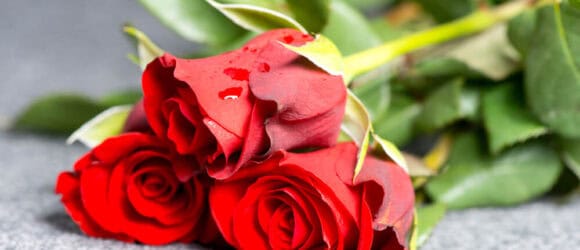 Three red roses with vibrant green stems on gray surface; classic mausoleum flower arrangement inspiration.