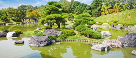 Serene Japanese garden with island, trees, rocks, and pond near Nintoku Mausoleum; distant wooden bridge under clear blue sky.